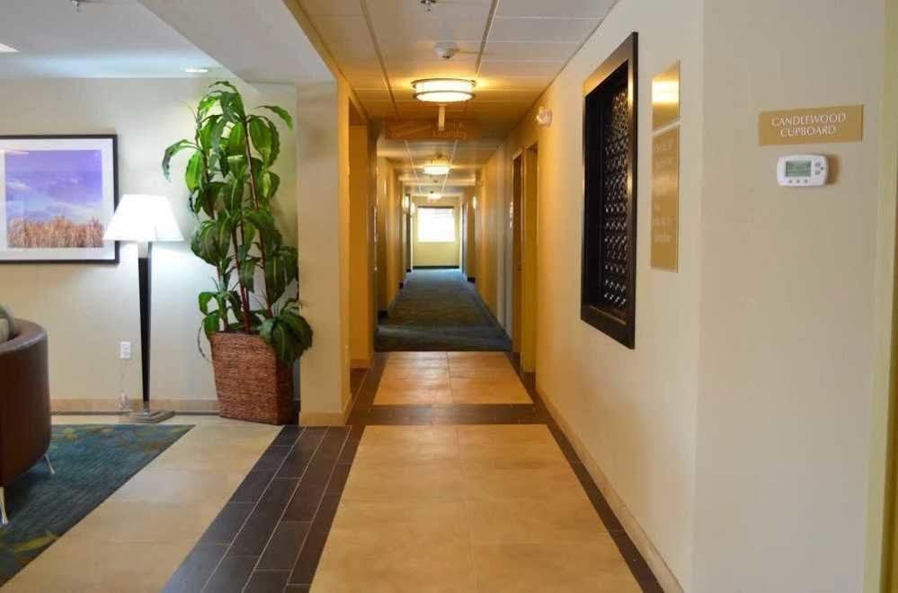 Candlewood Suites San Antonio Airport By Ihg Zewnętrze zdjęcie